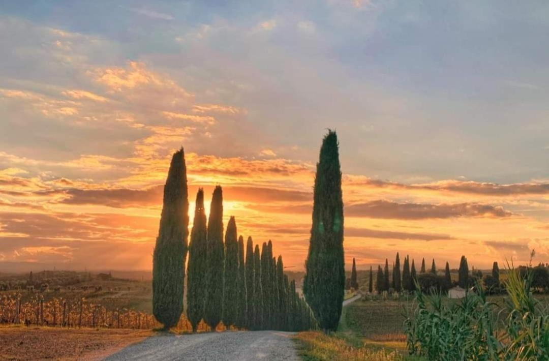 Апартаменты Casa Guardiavigna In Chianti San Gusme Экстерьер фото