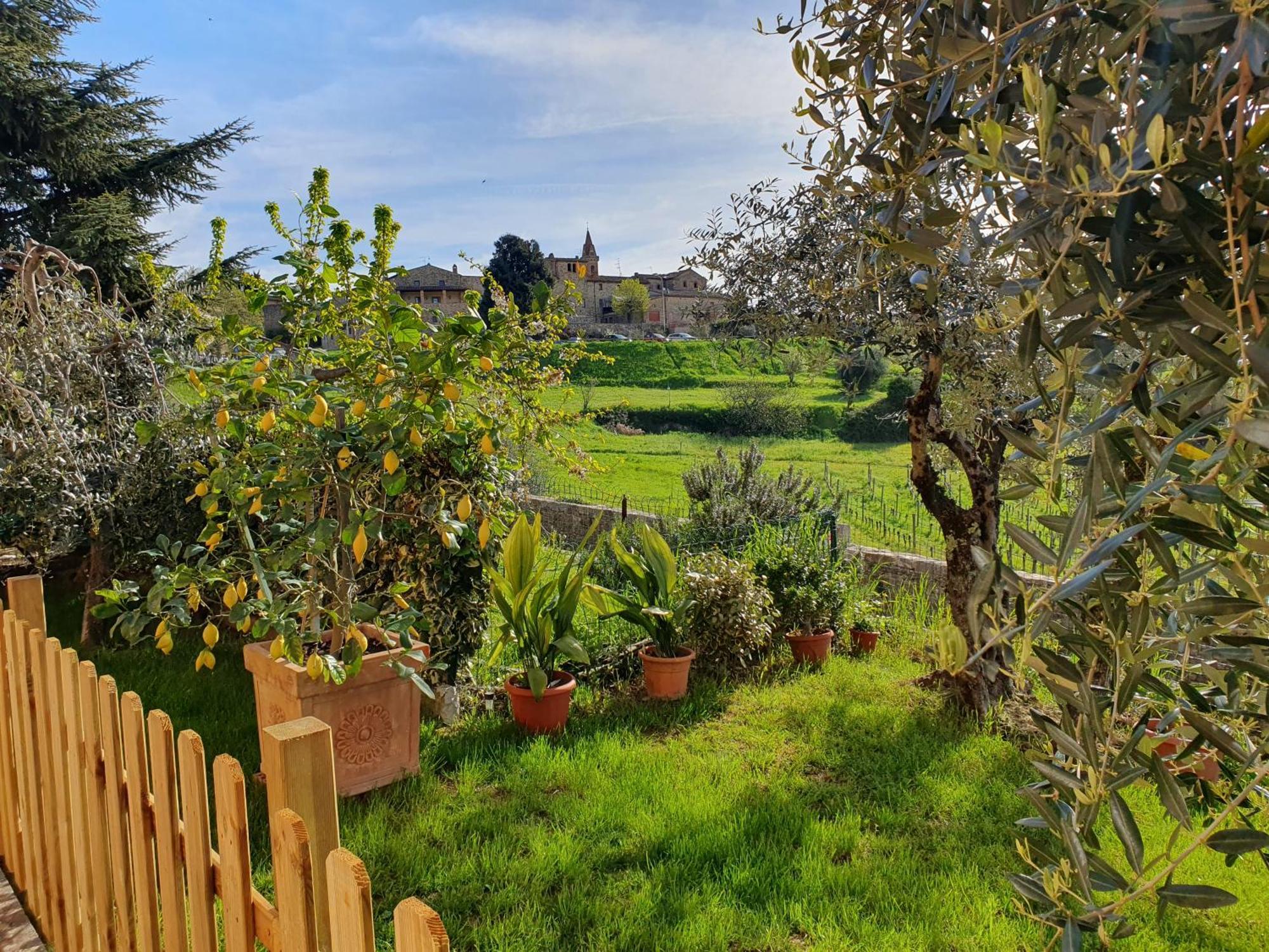Апартаменты Casa Guardiavigna In Chianti San Gusme Экстерьер фото